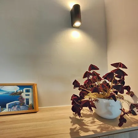 Paradiso New Luxury Flat 圣尼古拉奥斯